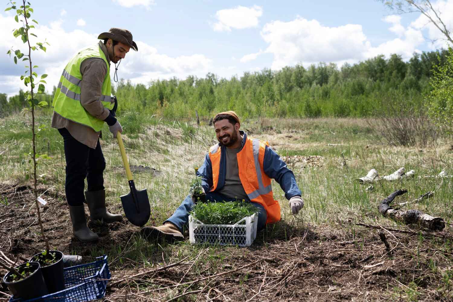 Best Local Tree Services  in Boulder Hl, IL